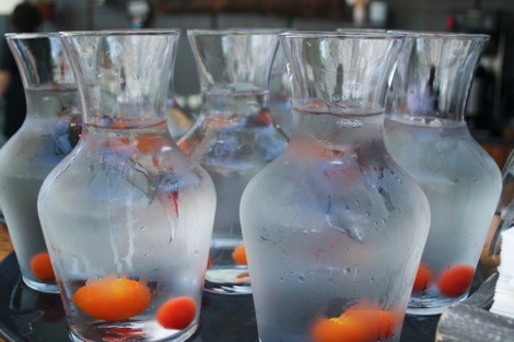 Tomato infused water, Fridheimar